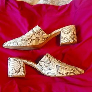 Steve Madden snakeskin pointed mule [size 8½M]
